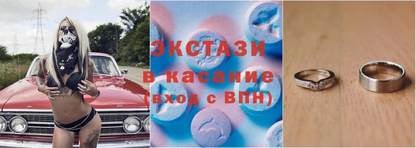 индика Бугульма