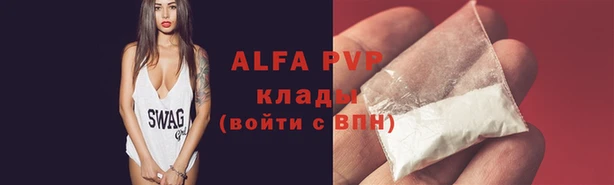 индика Бугульма