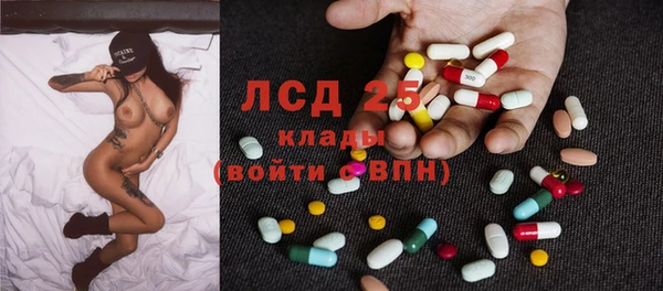 индика Бугульма