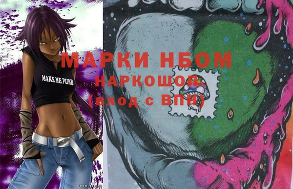 индика Бугульма